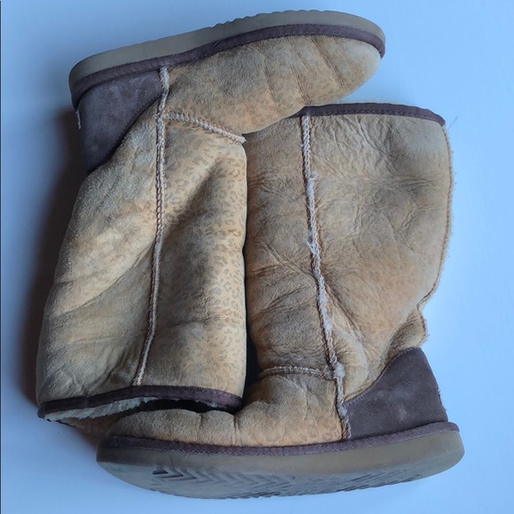 UGG | Leopard Print Ugg Boots | 7 - Picture 4 of 8